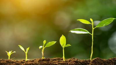 Aller de l’avant avec la plate-forme d’action Laudato Si’