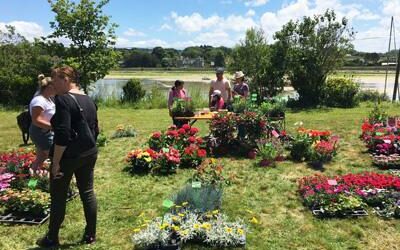 Fête des Plantes