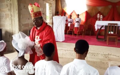 Sacrament of confirmation: faith committed…