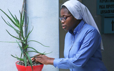 Tendresse pour les espaces verts