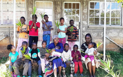 KENIA, día de Mazingira